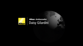 Manuel Bürkli – Studio für Kommunikationsdesign