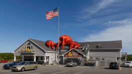 Manuel Bürkli – Studio für Kommunikationsdesign