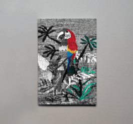 Manuel Bürkli – Studio für Kommunikationsdesign