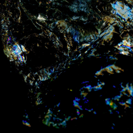 Manuel Bürkli – Studio für Kommunikationsdesign