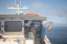 Manuel Bürkli – Studio für Kommunikationsdesign