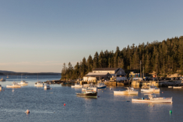 Manuel Bürkli – Studio für Kommunikationsdesign