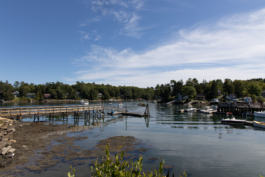 Manuel Bürkli – Studio für Kommunikationsdesign